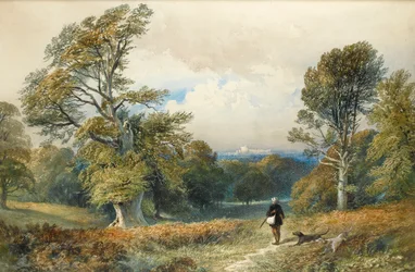 Rough Shooting in Windsor Great Park